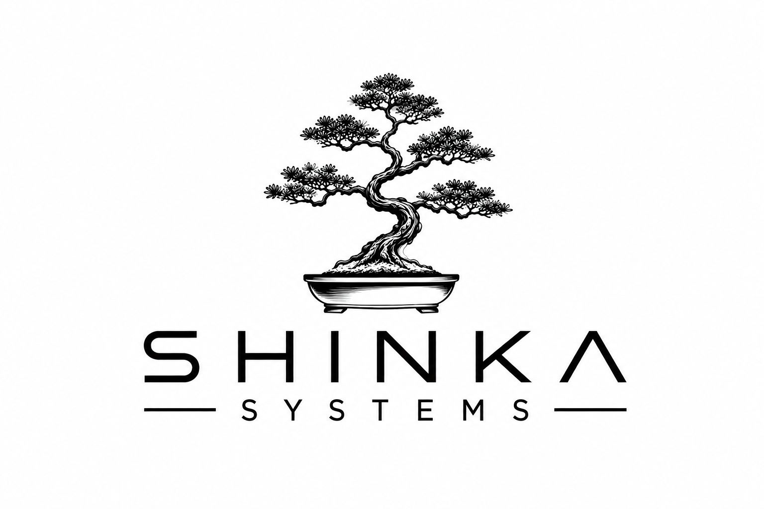 Logo Shinka Systems